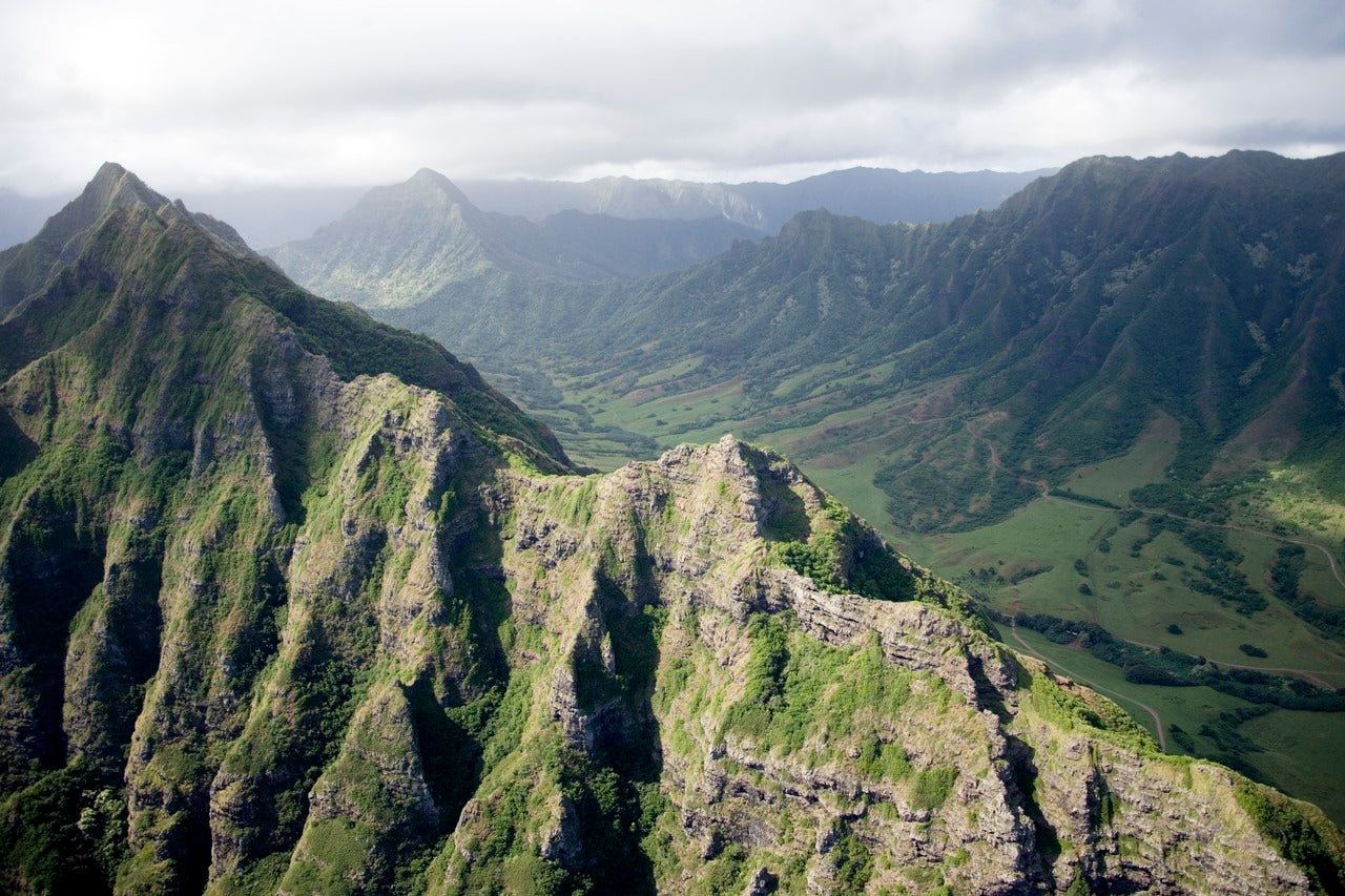 Officials destroy Hawai’i hemp farms because of THC levels