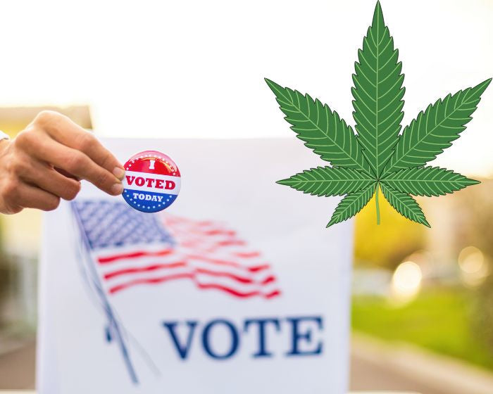 Where Cannabis Legalization Stands in the U.S.