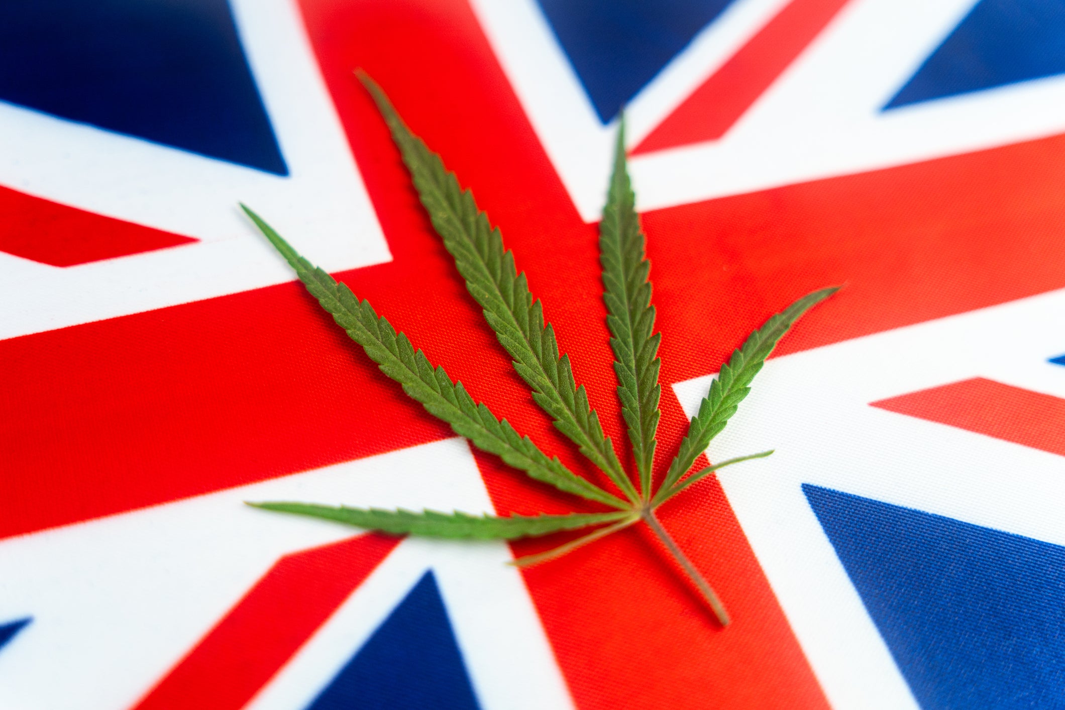 U.K. Officials Approve New Rules for Hemp Cultivation Easing the Process for Prospective Farmers