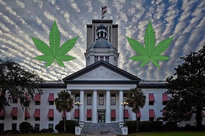 Florida Bill That Sets Limits on THC Levels for Recreational Cannabis Passes Another Hurdle on Its Way to the House of Representatives