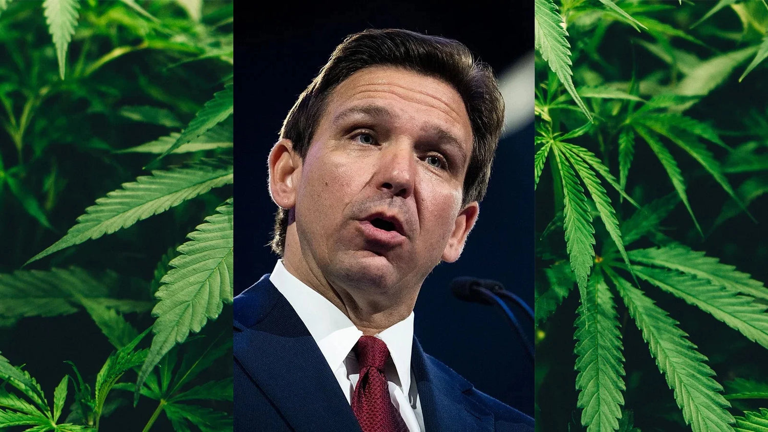 Florida Governor Plans to Veto Bill Banning Intoxicating Hemp Derivatives in a Perplexing Twist to the Ongoing Civil War Between Hemp and Cannabis