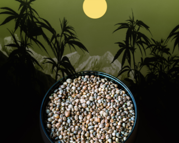 Hemp Seeds for Sleep? Three Reasons That's a Yes.