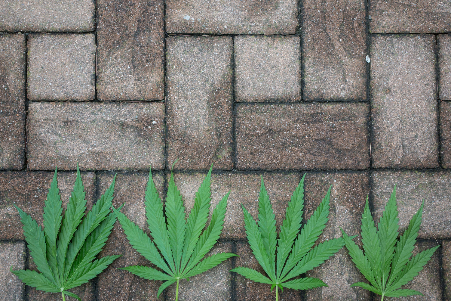 EPA awards $100,000 grant to support development of hemp-based bricks