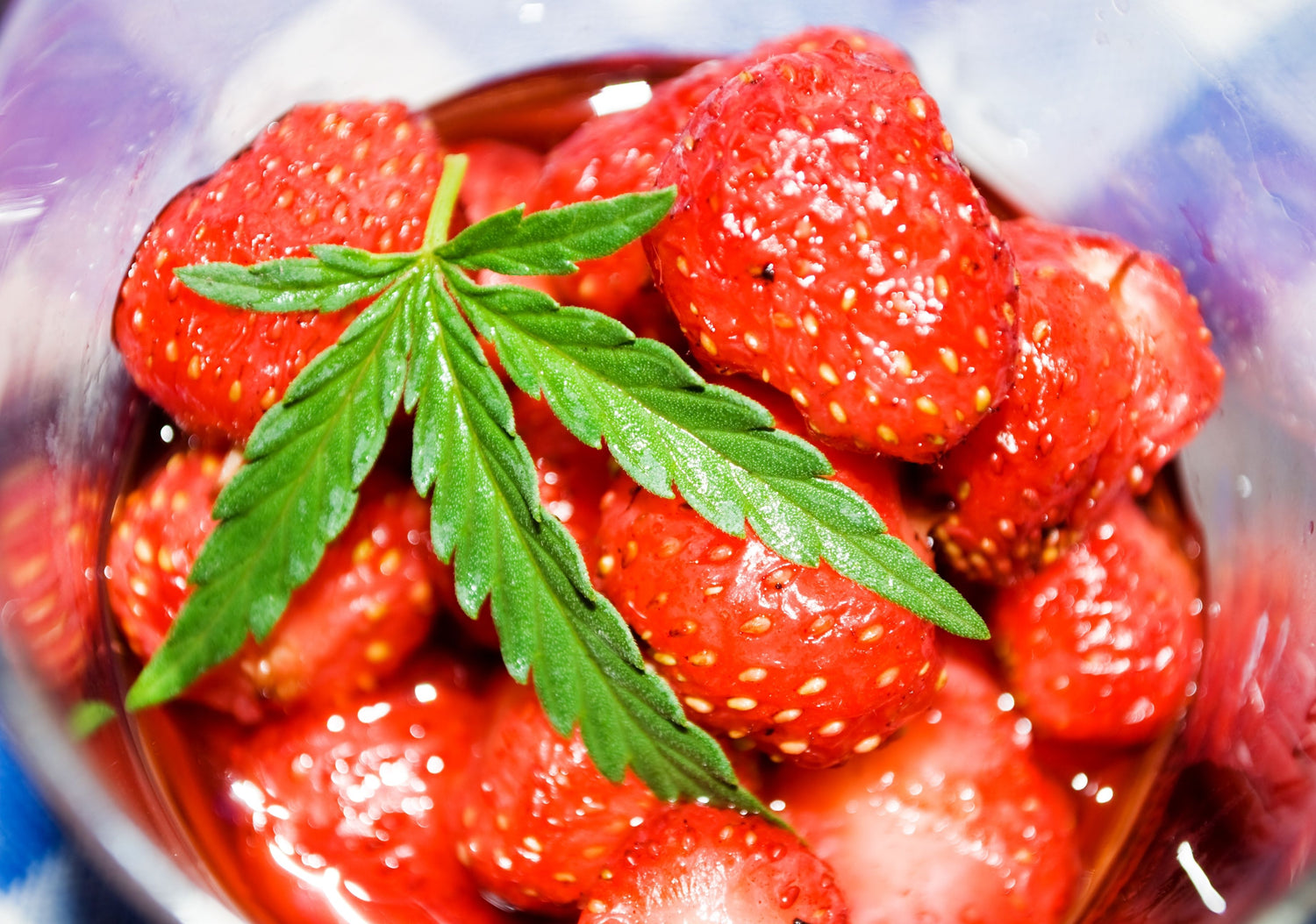 New study shows CBD oil can help keep fruit fresh