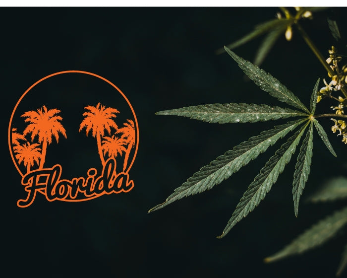 Florida Lawmakers Remove THC Limits From Proposed Hemp Legislation