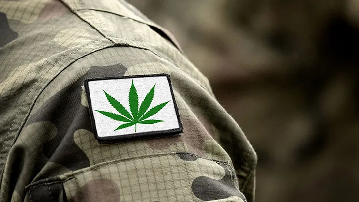 New Change to Minnesota’s Cannabis Legalization Statute Enables All Military Veterans to be Considered for Social Equity Status