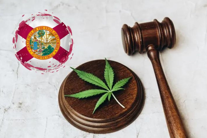 New Report Reveals the Big Cannabis Companies Funding Florida’s Marijuana Legalization Initiative