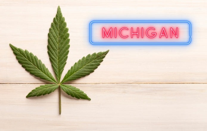 Michigan Adult-Use Cannabis Sales Exceeded $3 Billion in 2023