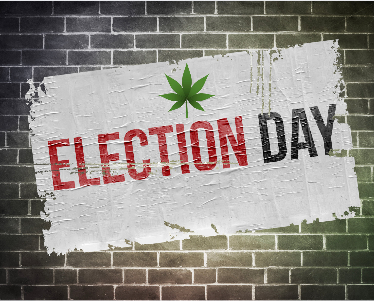 Marijuana Ballot Initiative Results From Election Day 2022