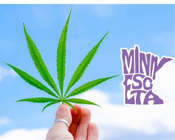 MN Cannabis Legalization Bill Adopts Significant Tax Changes