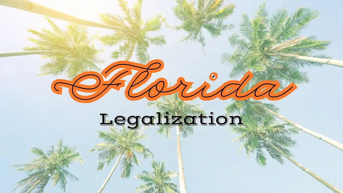 Florida Cannabis Legalization Ballot Initiative Sets Records for Political Donations