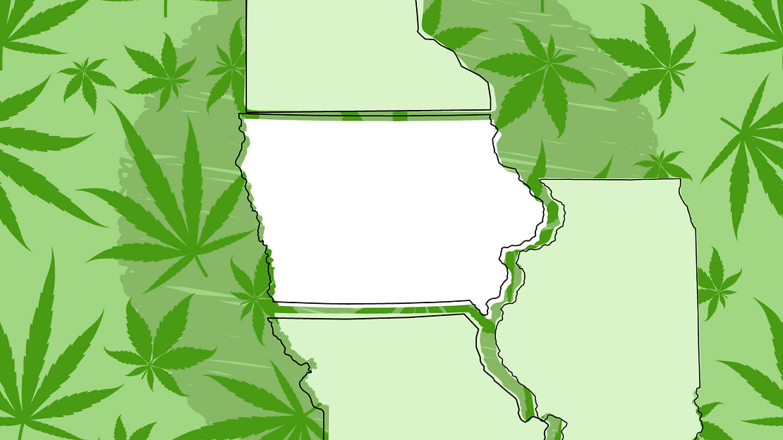 Manufacturers of Hemp-Derived THC-Infused Beverages in Iowa Sue State Over New THC Limits