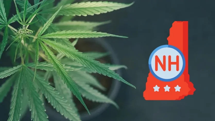 New Hampshire House Votes to Reject ‘Deeply Flawed’ Adult-Use Cannabis Legalization Bill