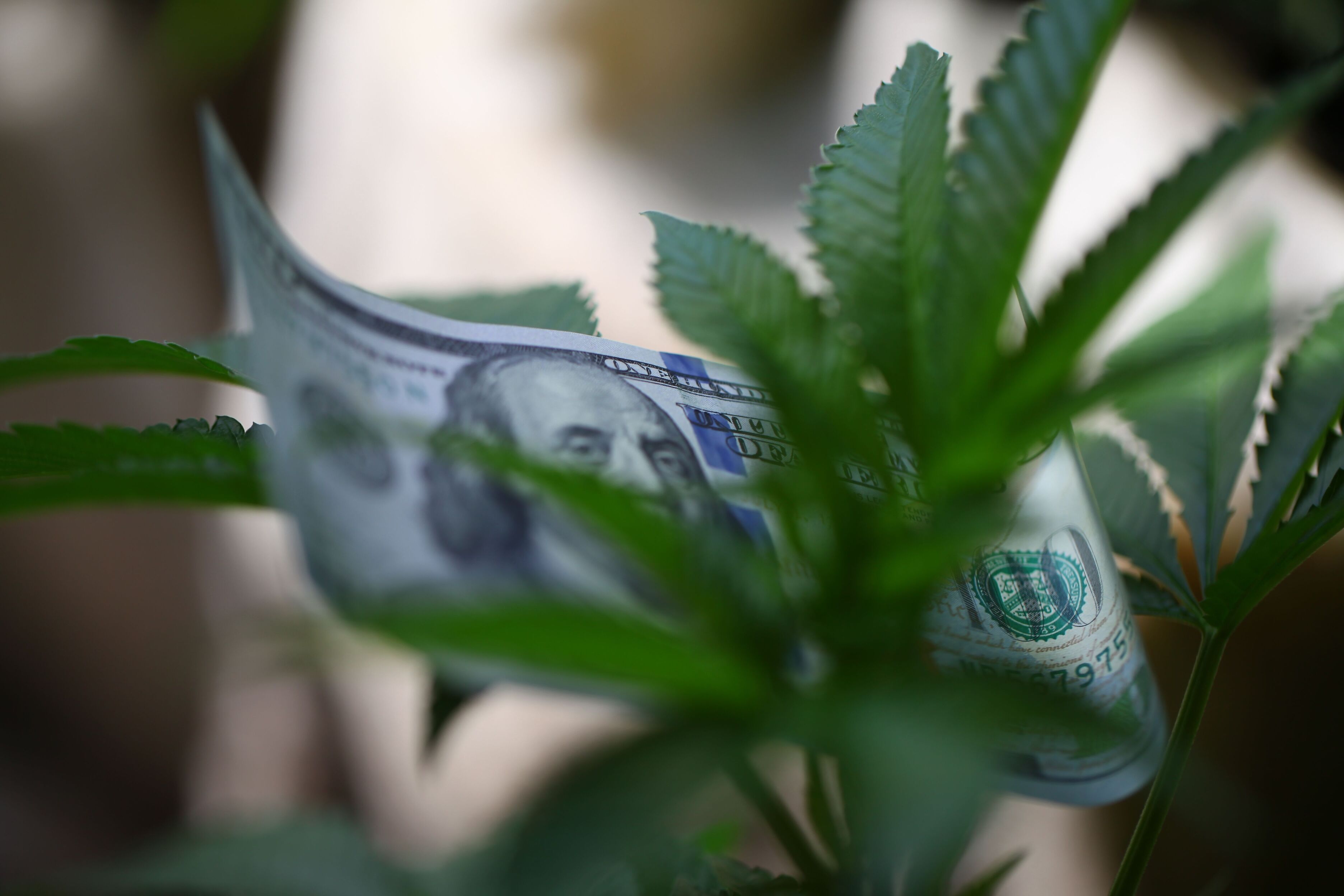 Three ways a federally funded carbon bank could impact the hemp industry