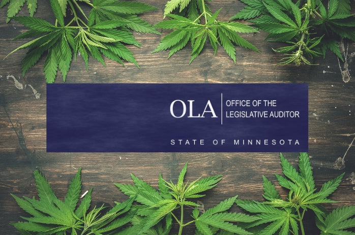 Minnesota Auditor Uncovers Flaws in Search for Top Cannabis Regulator