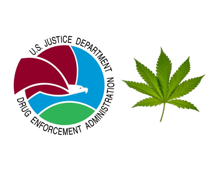 Key DEA Official Previews New Rules for Synthetic Cannabinoids