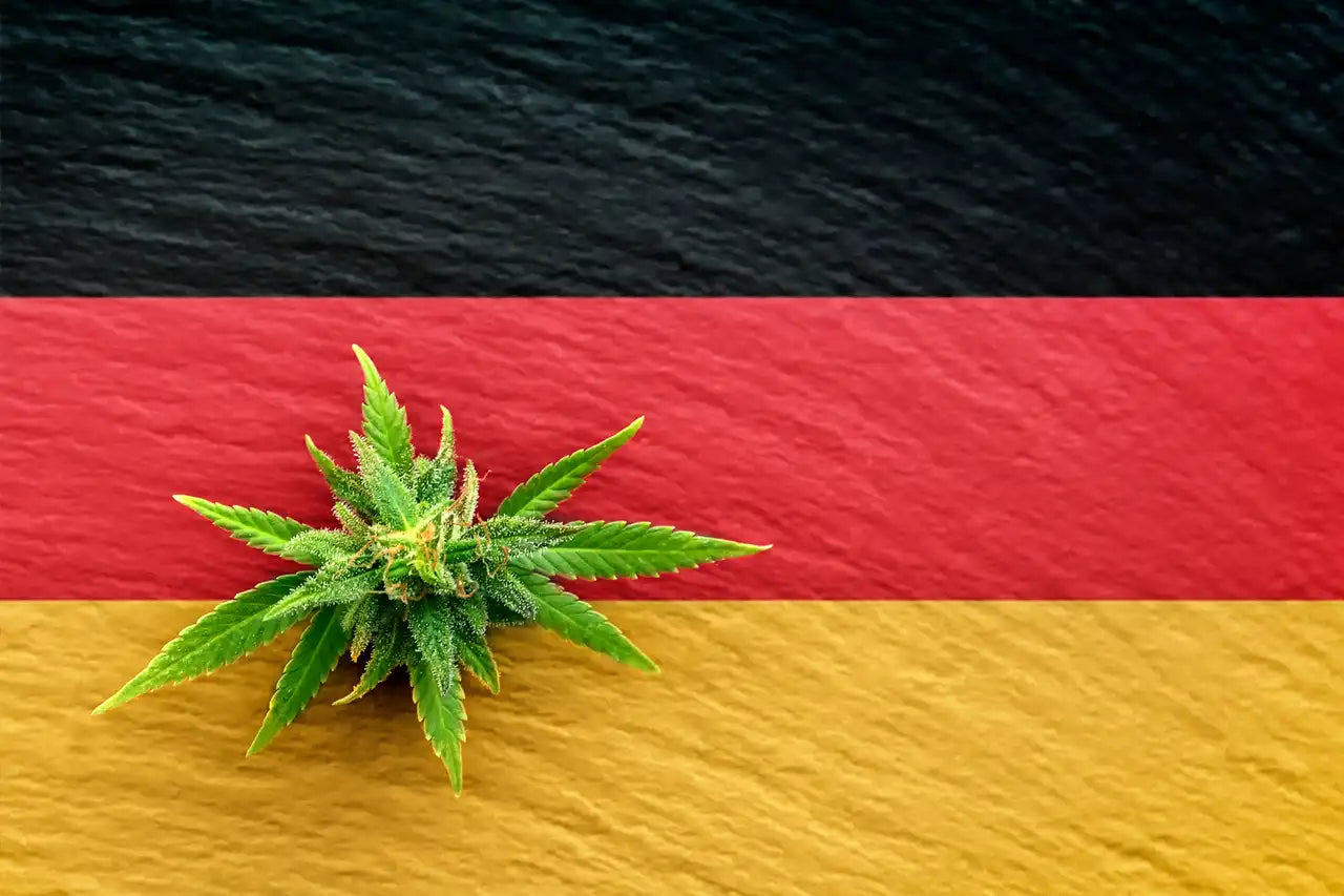 Germany Approves a Limited Recreational Cannabis Legalization Plan