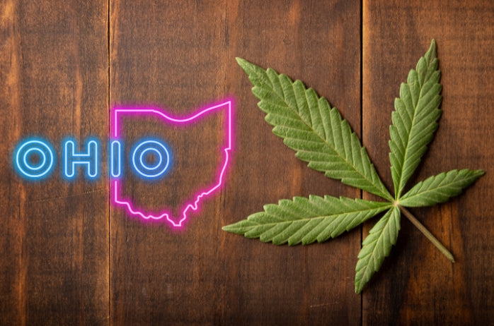 Cannabis Legalization Initiative to Appear on Ballot in Ohio This November