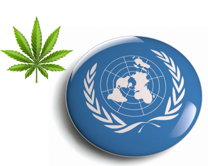 The UN Issues Warning To U.S. Over State-Legal Cannabis