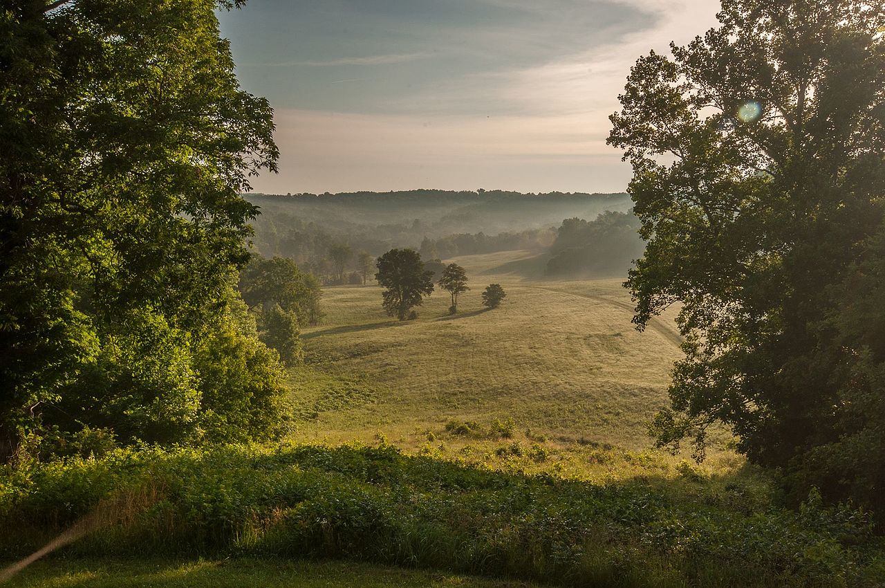 Major Kentucky hemp firm files for bankruptcy