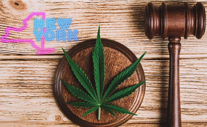 New York Judge Halts Licensing for Cannabis Dispensaries