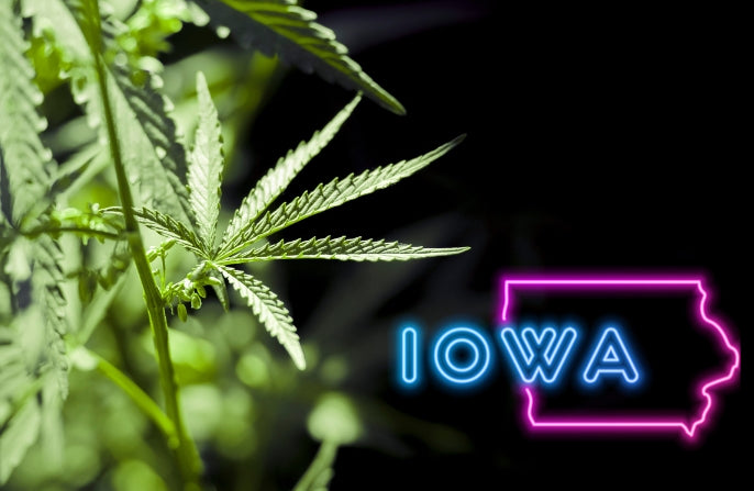 Iowa Lawmakers Advance a Measure That Would Place Harsh Restrictions on Intoxicating Hemp Products