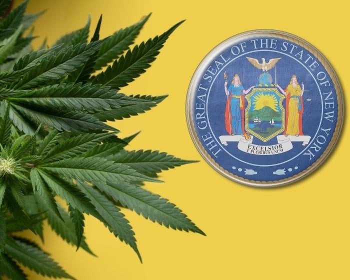 Homegrown Cannabis Now Legal in New York