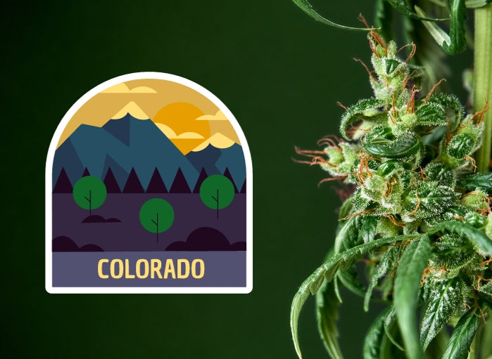Colorado Hopes to Revamp Its Ailing Recreational Cannabis Industry With New Laws and Regulations