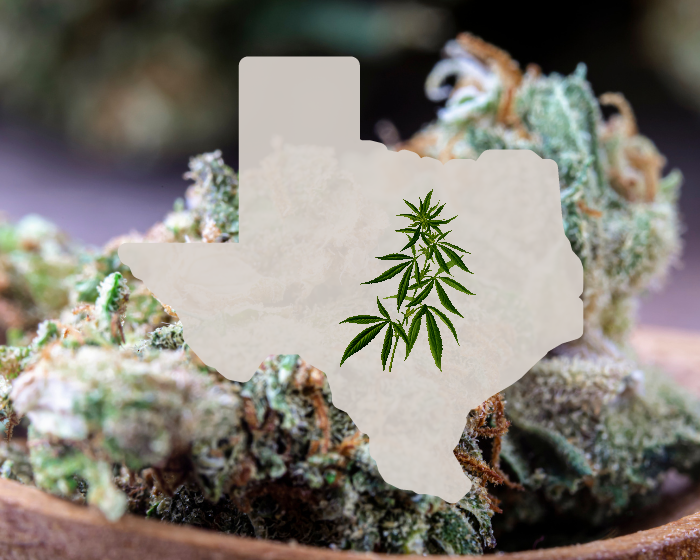 Felony possession charges dropped against Texas hemp grower