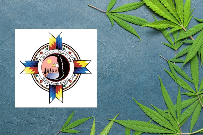 Minnesota Authorities Raid Unlicensed Dispensary Selling Cannabis on Tribal Land