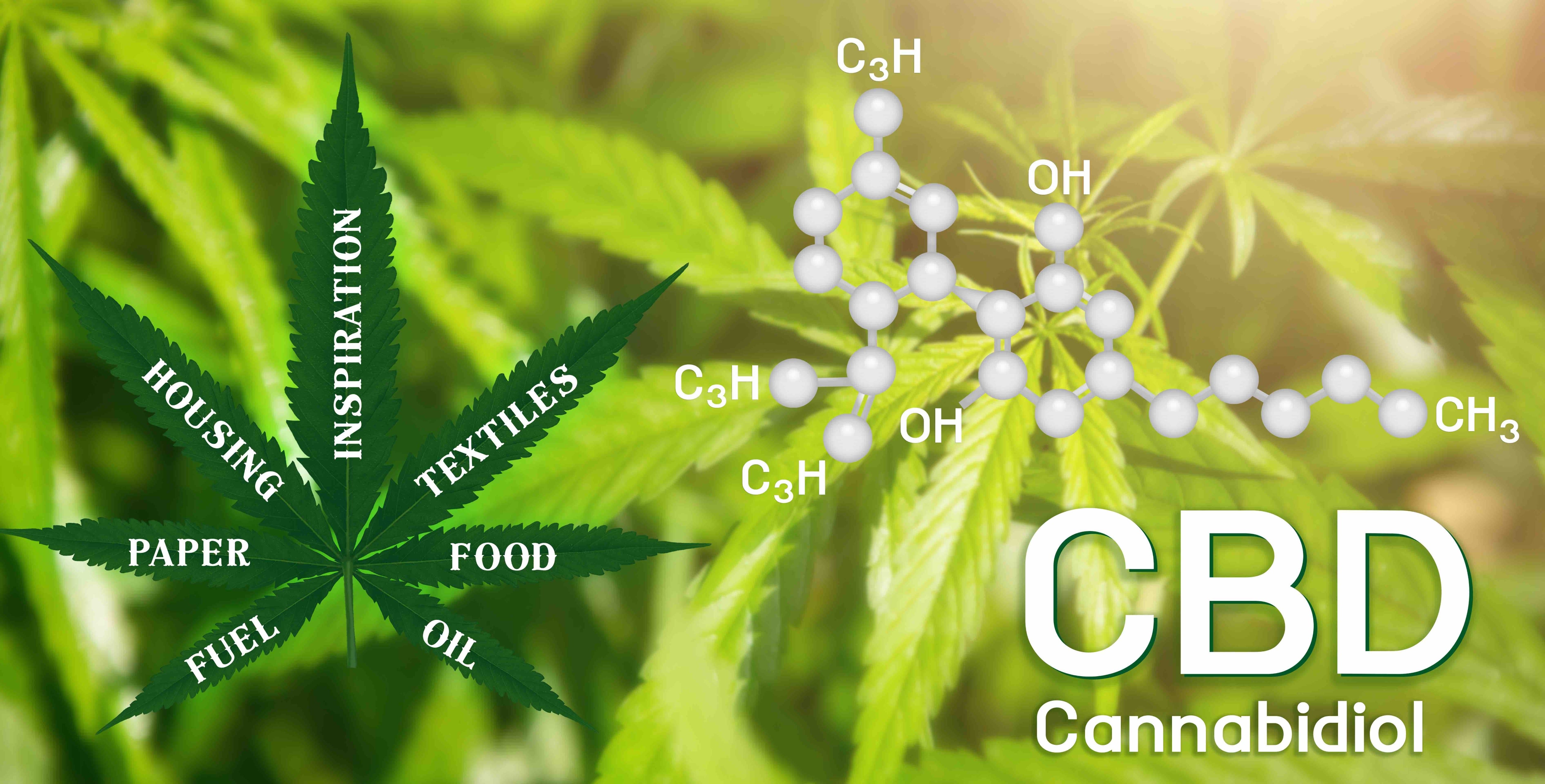 8 Fascinating Facts About CBD