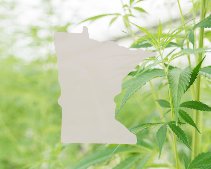 Welp. Minnesota needs more hemp.