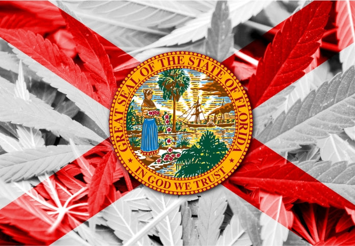 Florida Cannabis Legalization Ballot Initiative Could Net Over $431 Million in Annual Tax Revenue