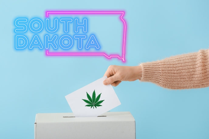 South Dakota Cannabis Activists Submit Signatures to Place Legalization Reform on This Year’s Ballot