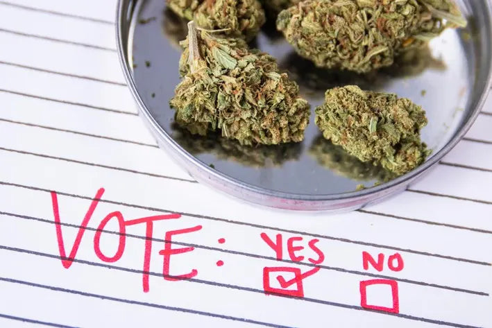 Florida Cannabis Legalization Ballot Initiative May Not Have Enough Support to Pass this November