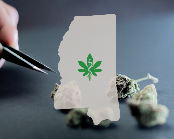 Mississippi senator brings hemp to meeting with governor — to show medical cannabis limits