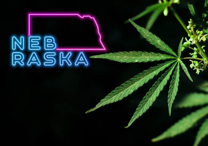 Nebraska Authorities Crack Down on Hemp-Derived THC Products