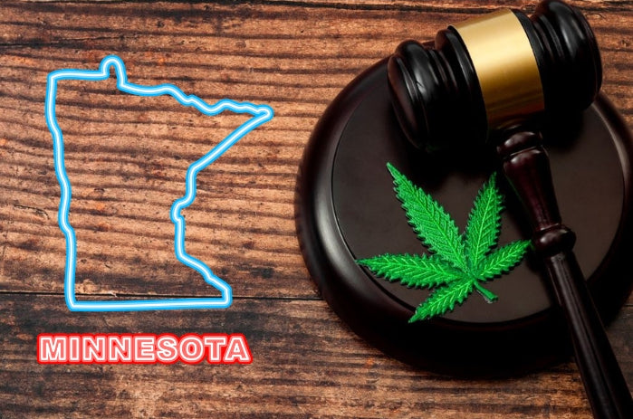 MN Republicans Call for Special Session to Address ‘Glaring Issues’ with Cannabis Legalization Law