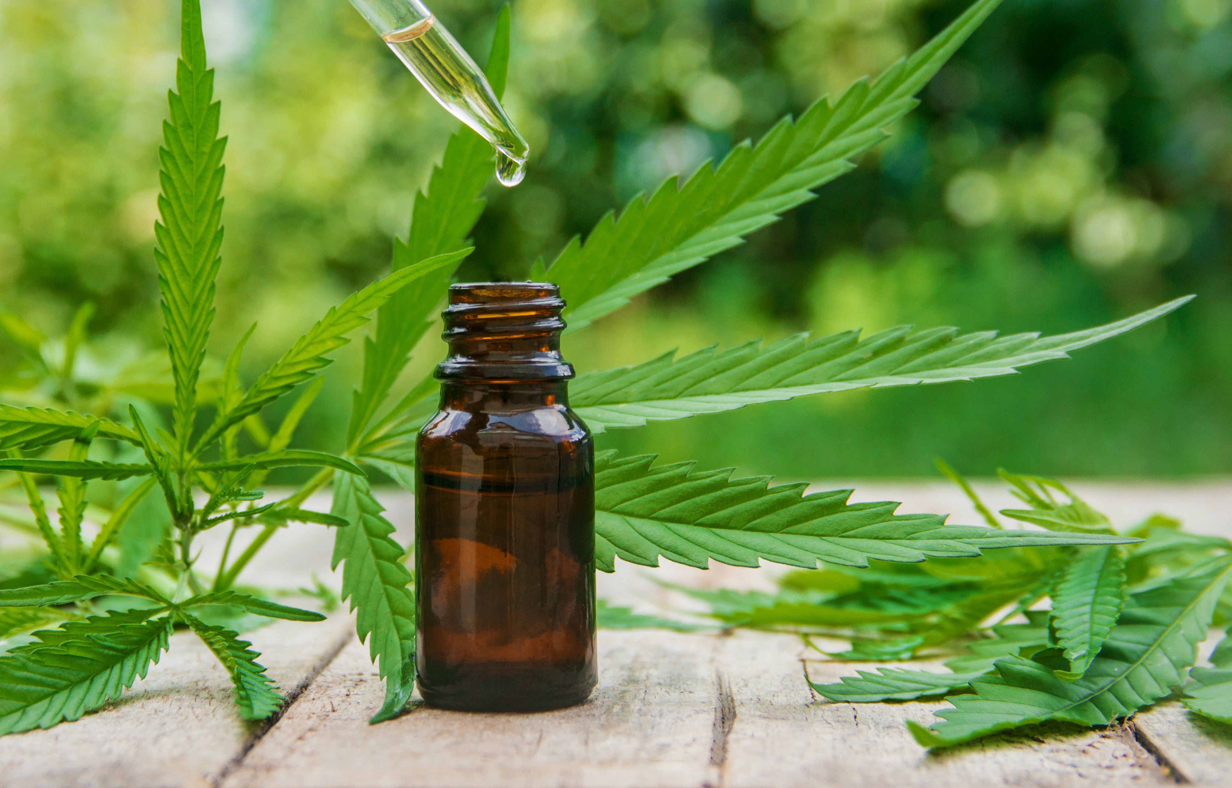 CBD for autism spectrum disorders?