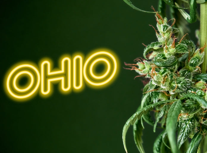 A Majority of Ohio Lawmakers Believe the Ballot Initiative to Legalize Adult-Use Cannabis Will Pass