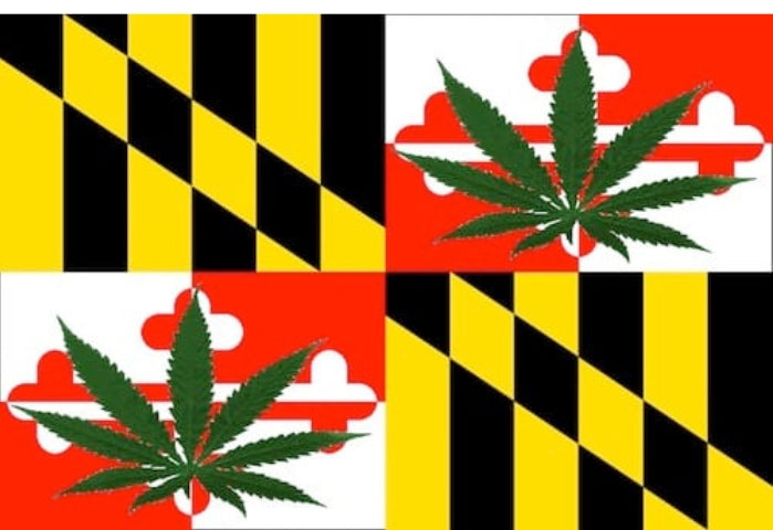 Maryland Mayor Forced Out of the Hemp Business by State’s New Cannabis Law