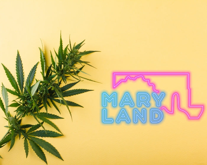Maryland Governor Signs Cannabis Regulation Bill Into Law