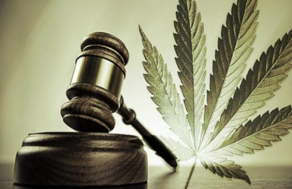 Federal Judge Orders Oral Arguments in Case Challenging Federal Prohibition of Cannabis