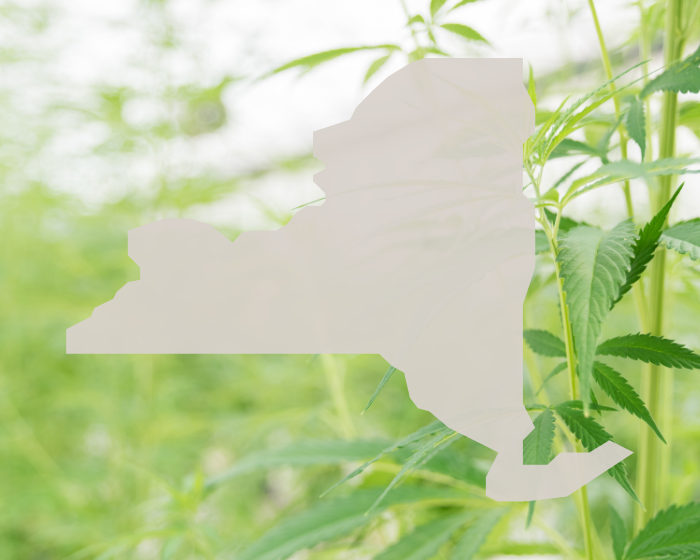 New York lawmakers act to spur hemp's use in packaging and construction