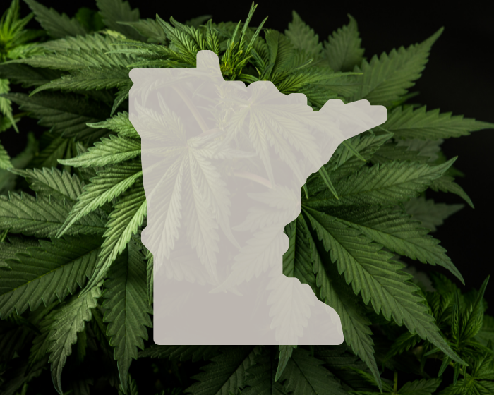 Minnesota CBD industry prepares for fight to keep hemp extracts legal