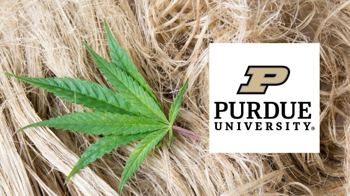 Researchers at Purdue University Are Developing New Hemp Cellulose for Diapers and Other Absorbent Products