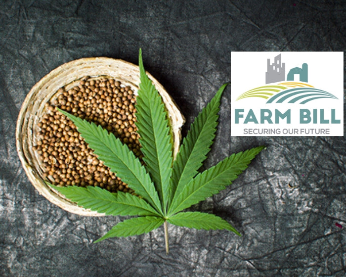 Hemp Desperately Needs a Stronger Vision for the 2023 Farm Bill