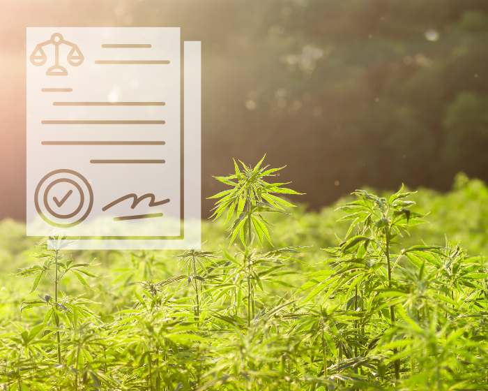 Inflation Reduction Act is good news for hemp farmers