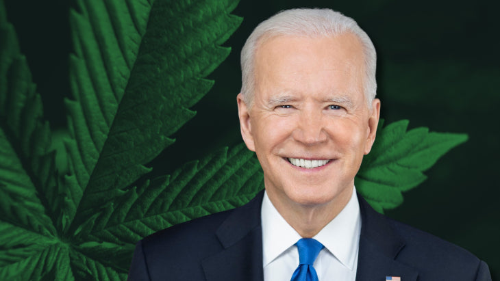 Biden Finally Acknowledges His Lies Concerning Expungement of Federal Cannabis Convictions