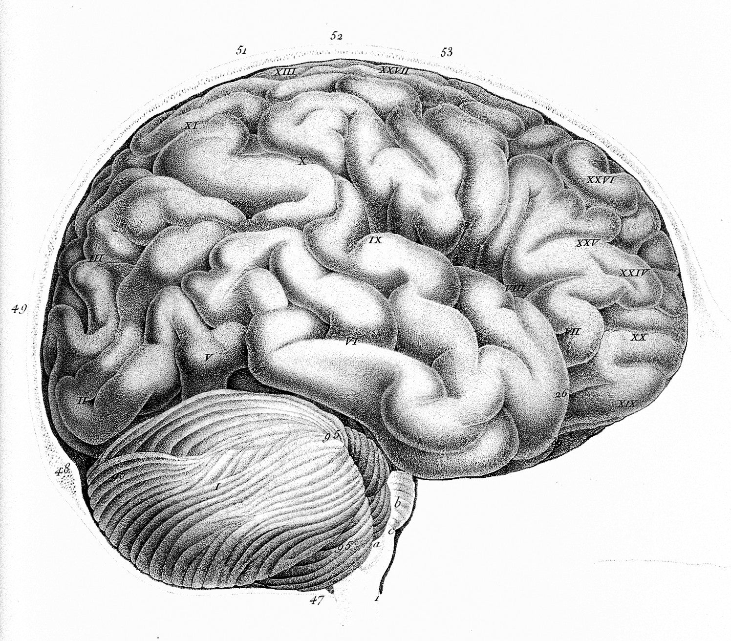 New findings show CBD may work so well because it crosses the brain-body barrier